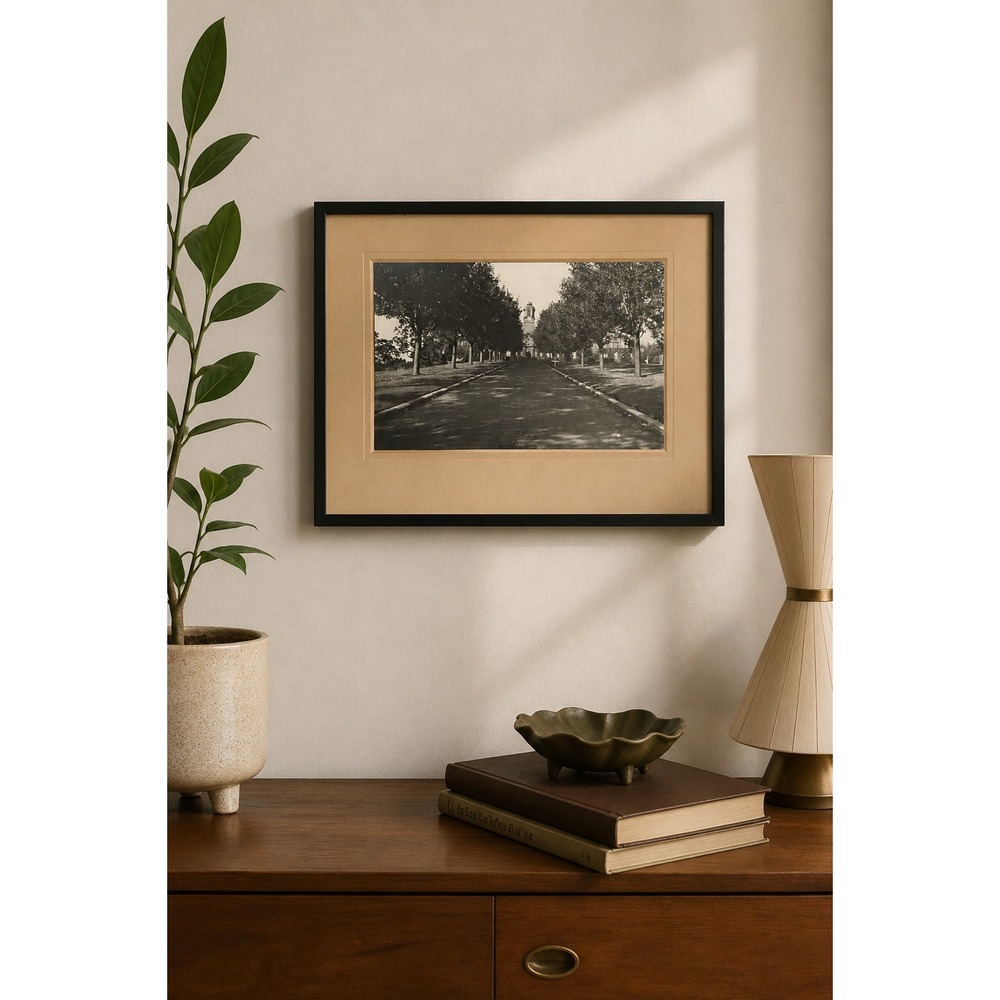 Vintage Black White Architectural Photograph Framed Historic Avenue Wall Art